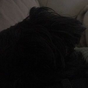 Meet your Posher, Sabrina